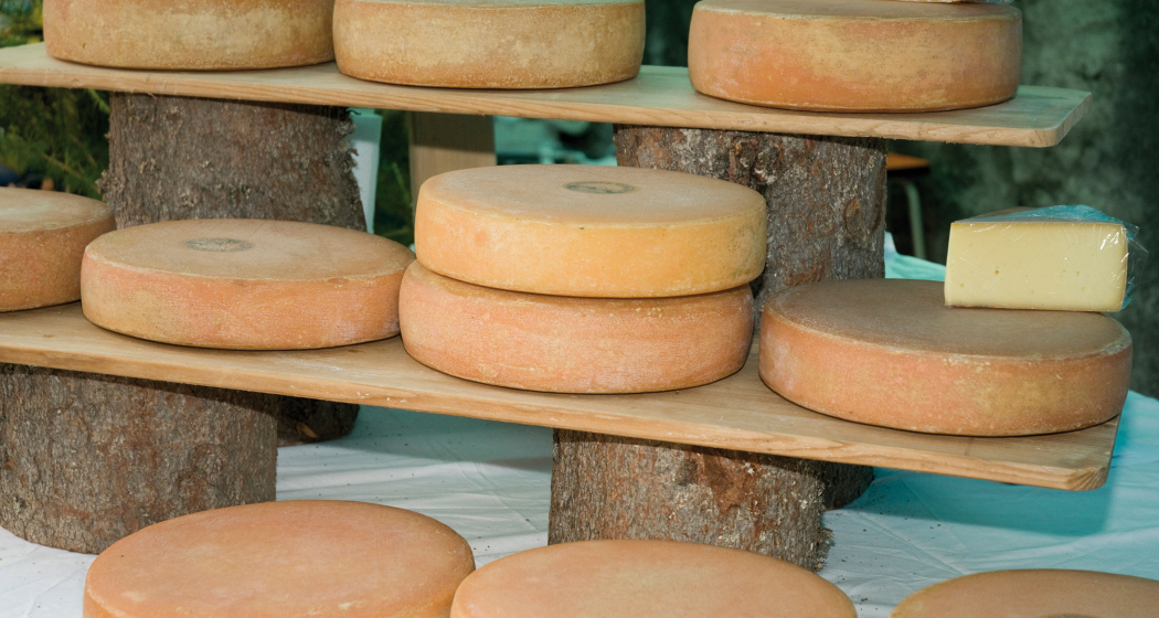 Aussichtsreiche Wanderung von Klosters Dorf über Hochstelli nach Sankt Antönien (oua_23840855_image)