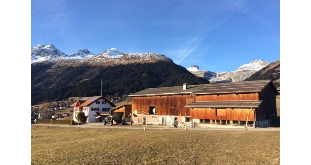 Menaschi Puril Cathomen (Bauernhofglace) (oua_23982044_image)