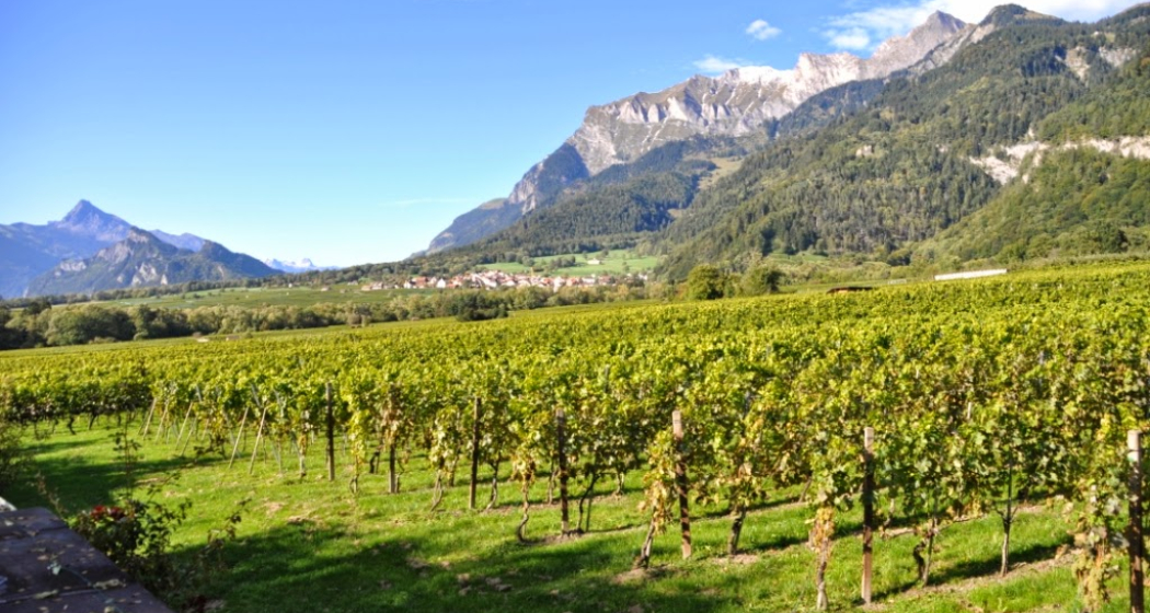 Weingut Anjan Boner Weingut Anjan Boner