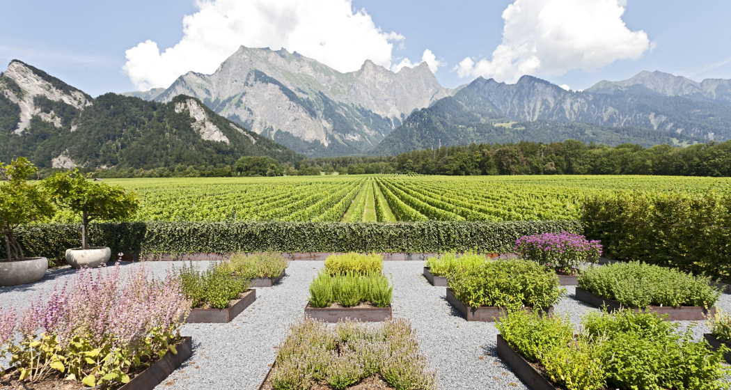 Weingut Davaz (oua_75247210_image)