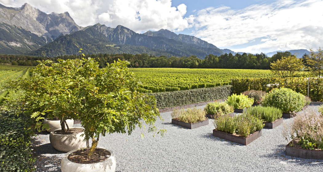 Weingut Davaz (oua_75247216_image)