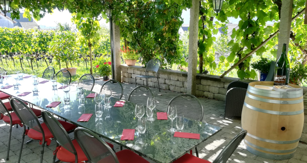 Weingut Heidelberg, Maienfeld (ctd_25f39777-0e9a-4bfc-979a-d1563b9149b1_image)