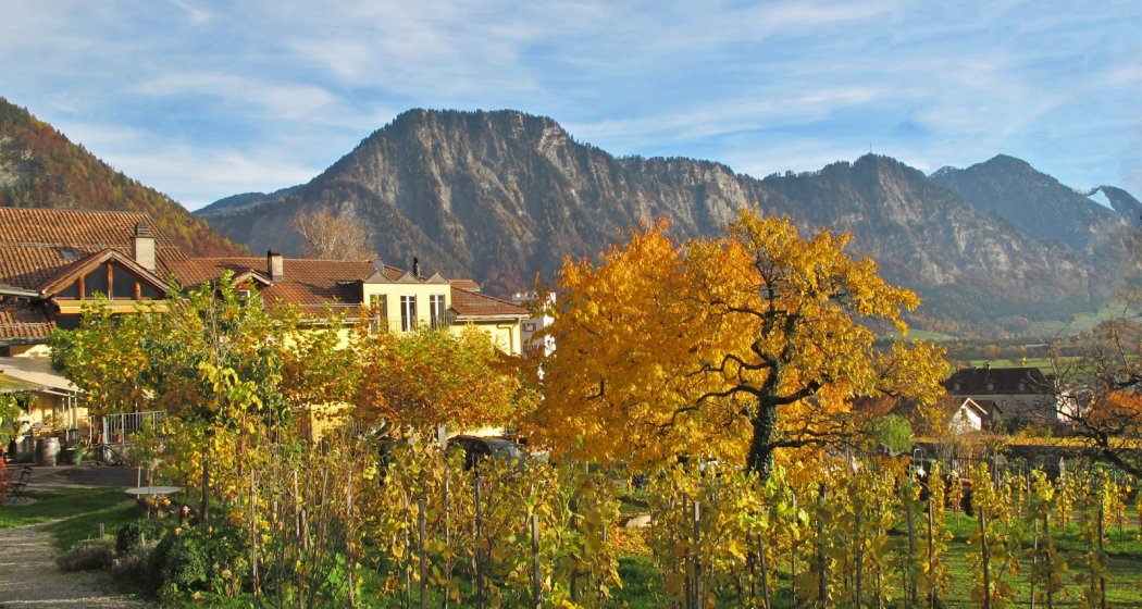 Weingut Fromm, Malans (ctd_c675b433-382e-4ac0-a258-a3fa594ea333_image) Weingut Fromm, Malans (ctd_c675b433-382e-4ac0-a258-a3fa594ea333_image)