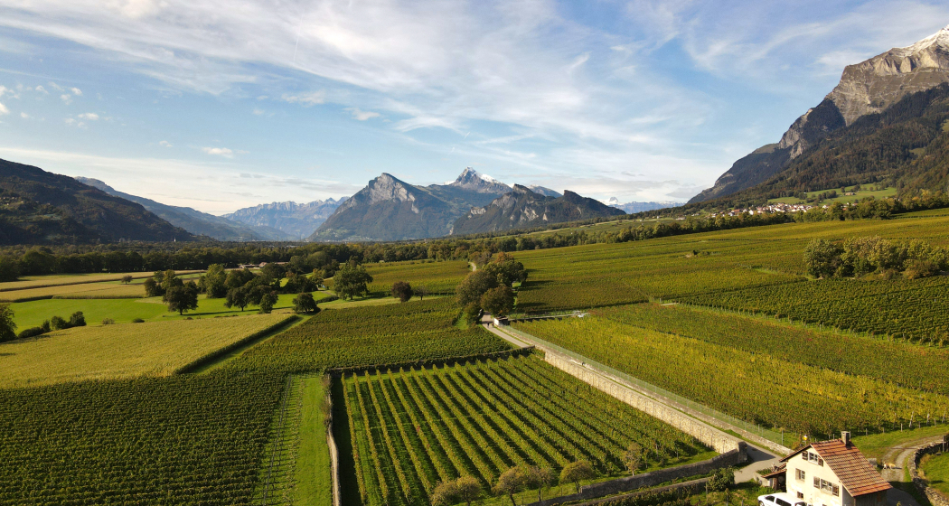 Weingut Fromm, Malans (ctd_c675b433-382e-4ac0-a258-a3fa594ea333_img01) Weingut Fromm, Malans (ctd_c675b433-382e-4ac0-a258-a3fa594ea333_img01)