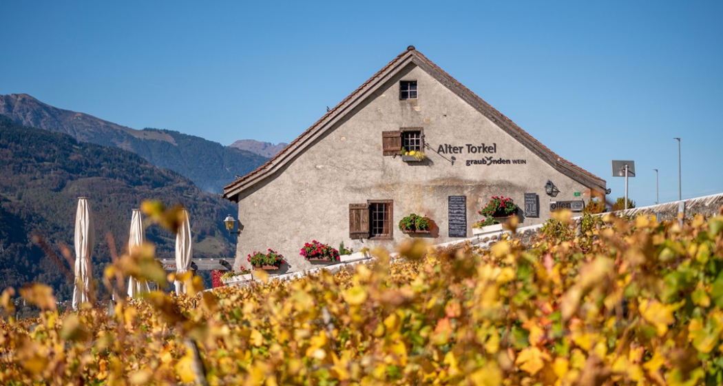 Alter Torkel - Huus vom Bündner Wii (ctd_d01f1d76-227d-4594-b23e-9a5319a5f8fb_image)