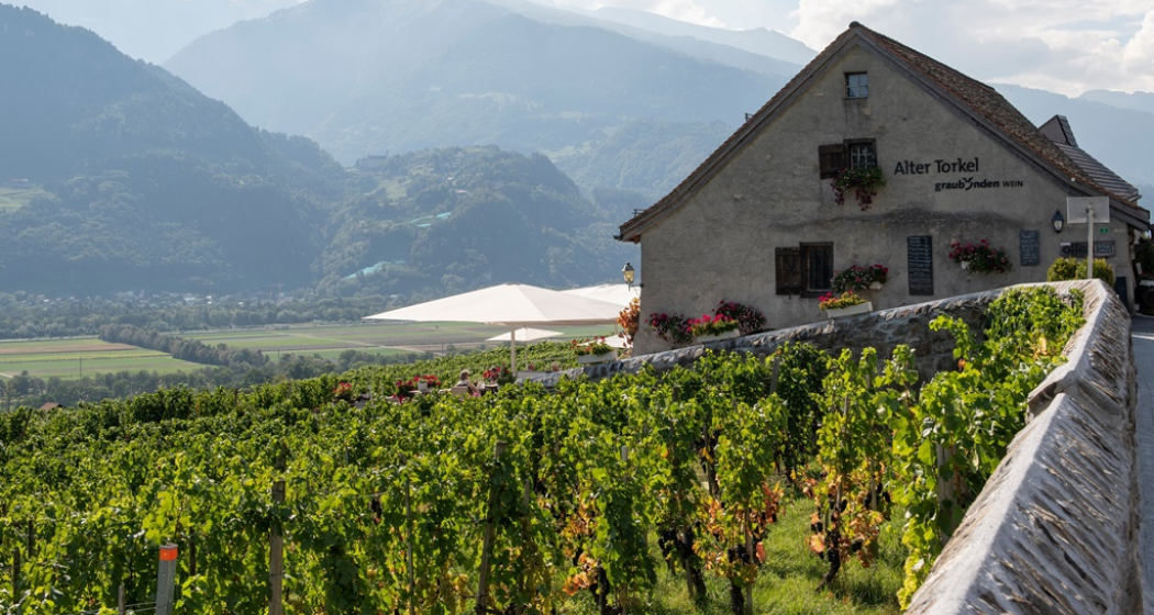 Alter Torkel - Huus vom Bündner Wii (ctd_d01f1d76-227d-4594-b23e-9a5319a5f8fb_img01)