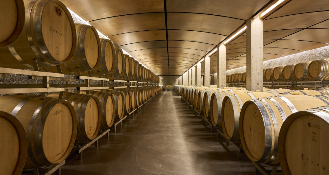 Führung und Degustation im Weingut Davaz (gdl_810858619_image) Führung und Degustation im Weingut Davaz (gdl_810858619_image)