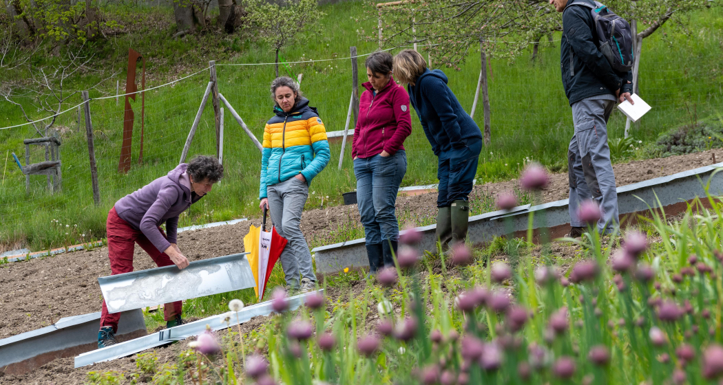 ArosaAkademie «Biodiversität im Garten» (gdl_857939204_image) ArosaAkademie «Biodiversität im Garten» (gdl_857939204_image)