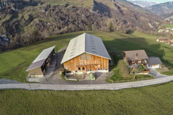 Buontads, Surcasti (oua_36103979_image)