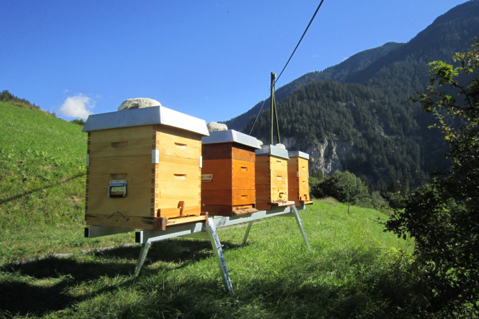 Imker Meltger Devonas / Honig