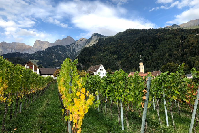 Jürg Obrecht Weine Jenins (oua_604535352_image)