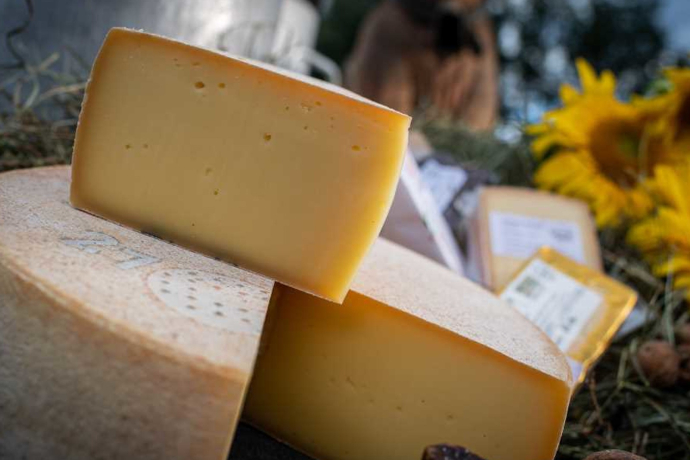 Hof Mulin in Castrisch (oua_62948503_image)