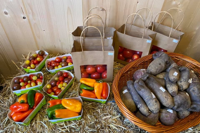 Glennerhof in Castrisch (oua_66235659_image)