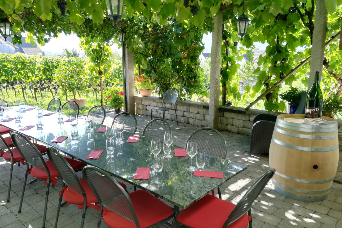 Weingut Heidelberg, Maienfeld (ctd_25f39777-0e9a-4bfc-979a-d1563b9149b1_image)