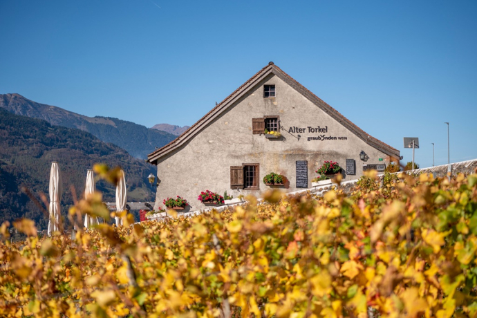 Alter Torkel - Huus vom Bündner Wii (ctd_d01f1d76-227d-4594-b23e-9a5319a5f8fb_image)