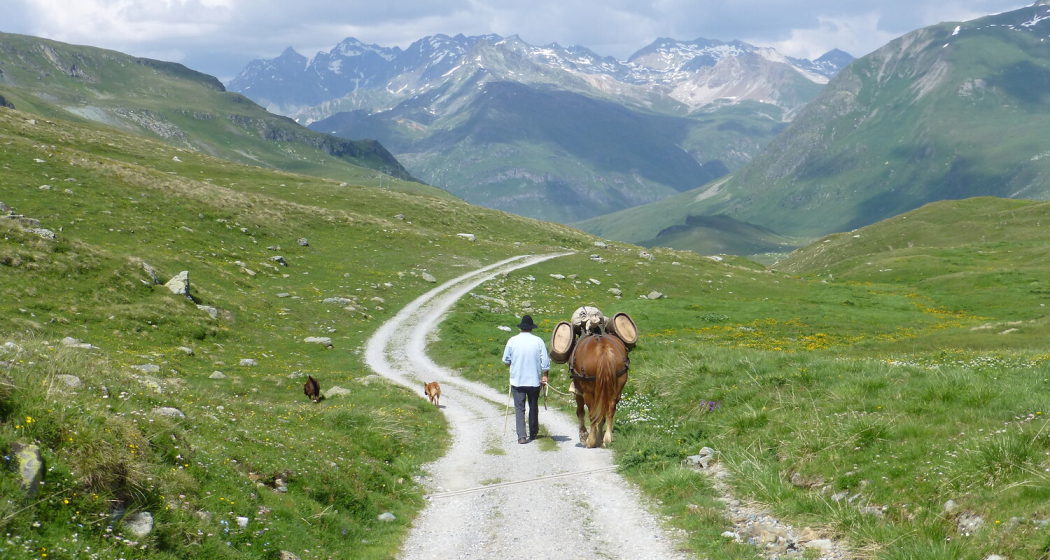 Wandern
