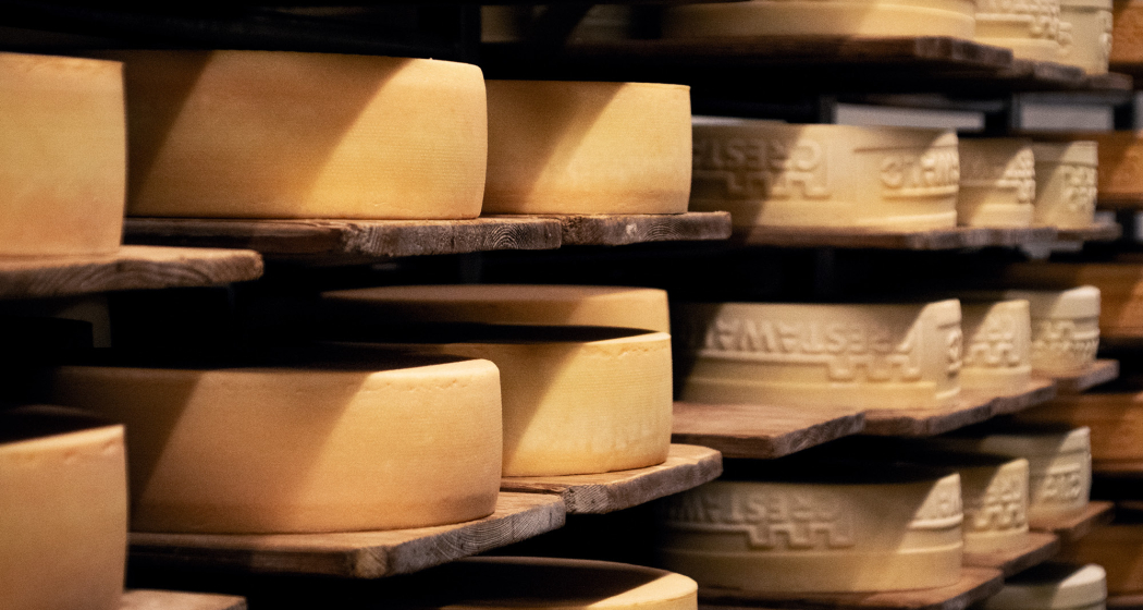 Alp- und Bergkäse