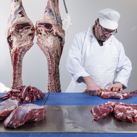 Bündnerfleisch