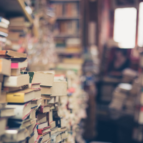 Bibliothek
