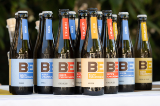 bieraengiadinaisa