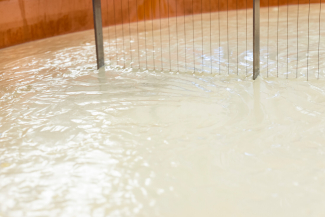Milch