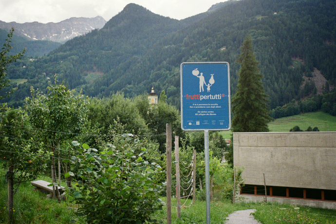 fruttipertutti