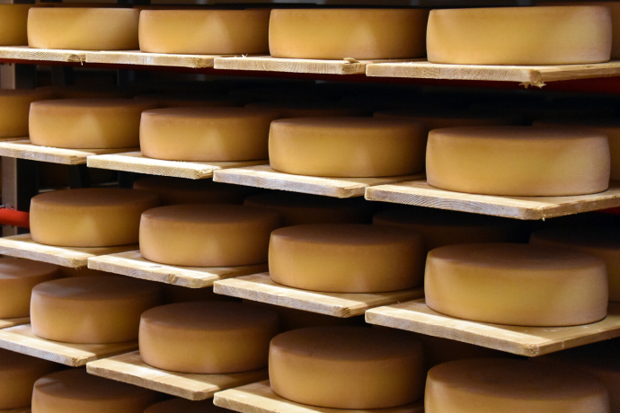 Bergkäse Bergkäse