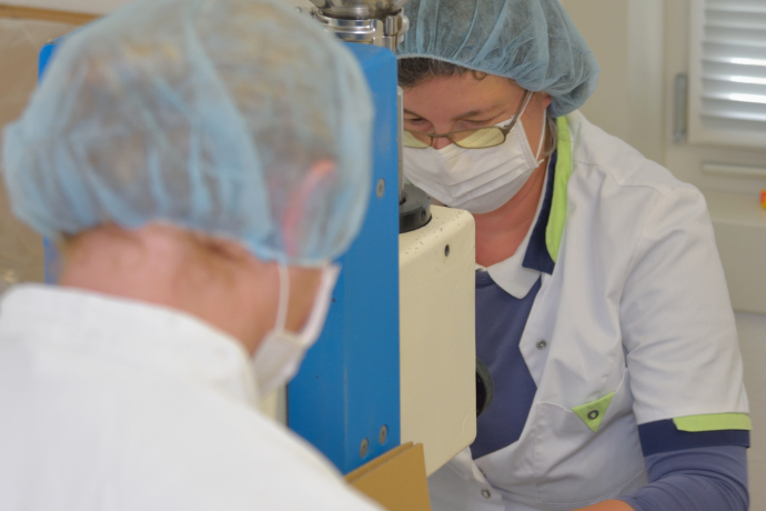 soglioproduktion2