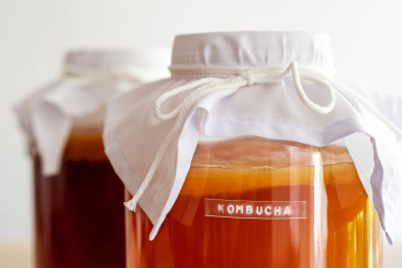 Kombucha